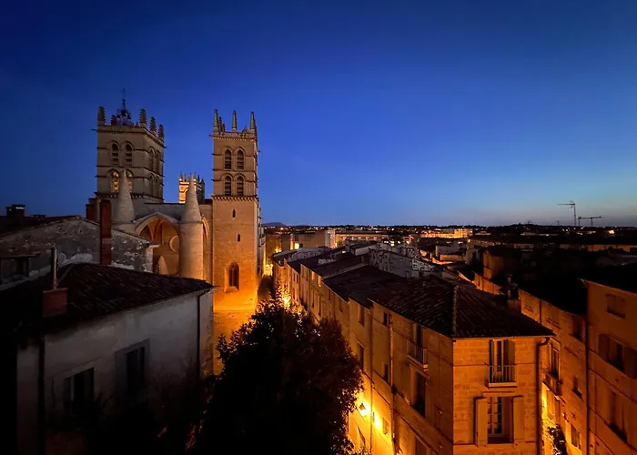 La Terrasse, Vue Sur Les Toits De Montpellier