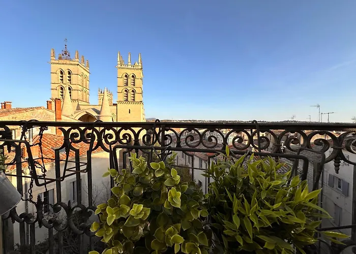 La Terrasse, Vue Sur Les Toits De Montpellier
