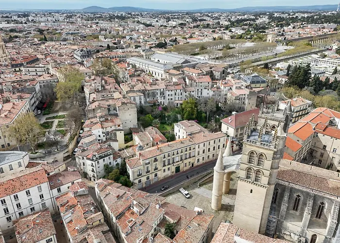 La Terrasse, Vue Sur Les Toits De Montpellier