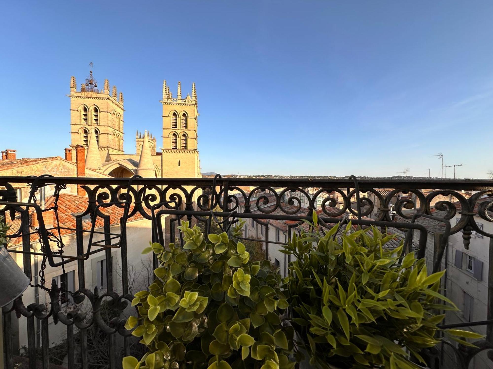 La Terrasse, Vue Sur Les Toits De Apartamento Montpellier