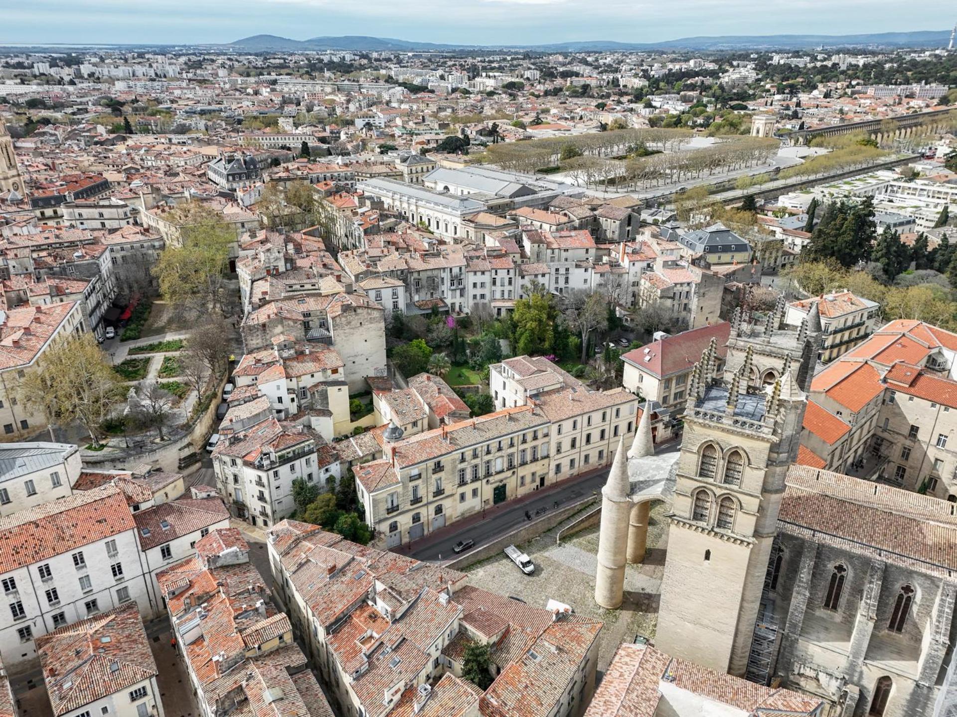 La Terrasse, Vue Sur Les Toits De *